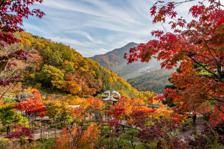Korea’s BEST 5 Fall Foliage Destinations