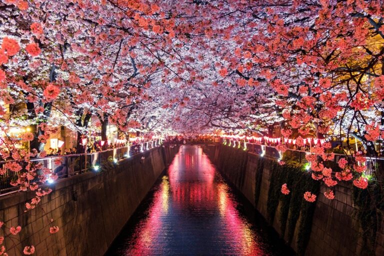 Travel to Japan from Malaysia