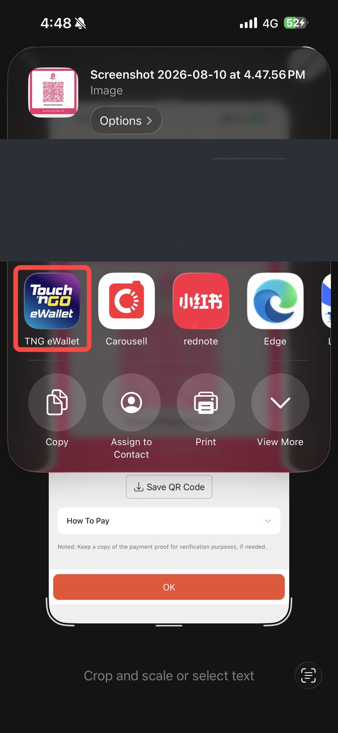 Select TNG eWallet