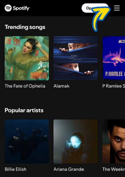 Spotify New User Step 2 p.1