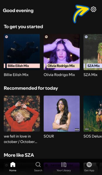 Spotify New User Step 3 p.1