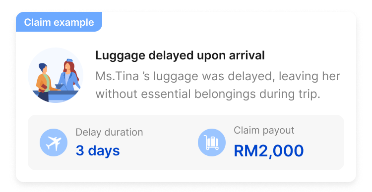 Claim example for delayed baggage