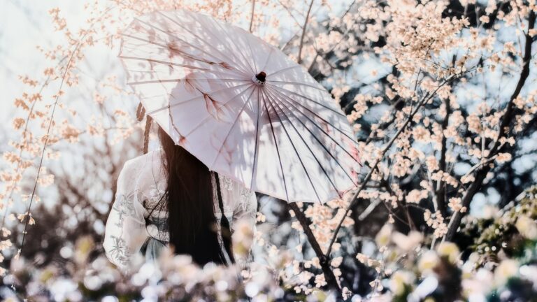 Cherry blossom in China: photo spots and forecasted dates