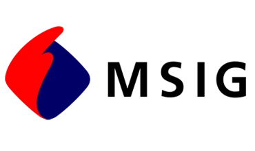 MSIG