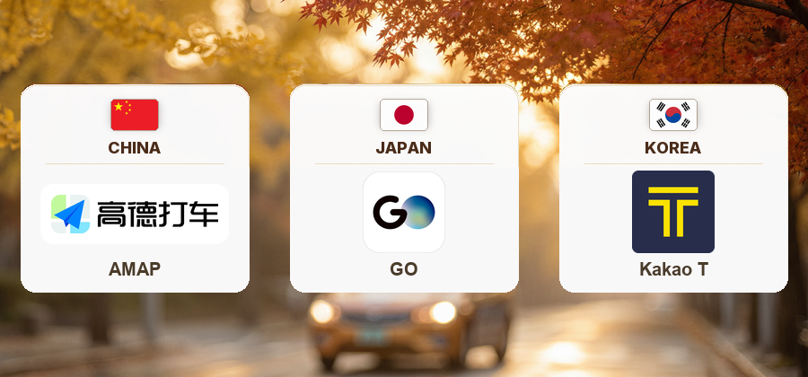 How to book a ride overseas with TNG eWallet